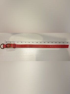Scarlet Pink Genuine Leather Dog Collar